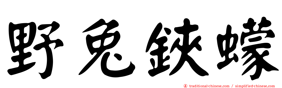 野兔鋏蠓