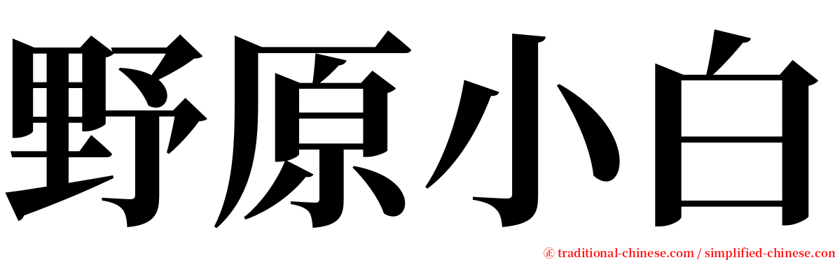 野原小白 serif font