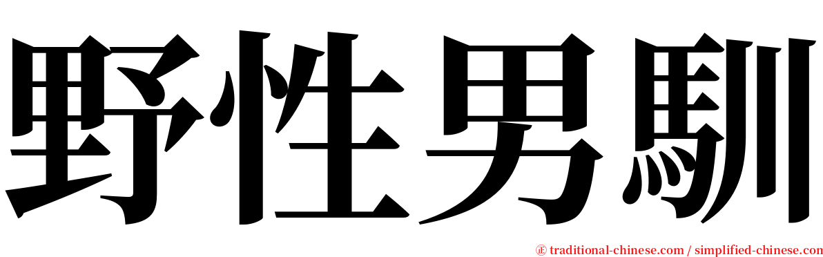 野性男馴 serif font