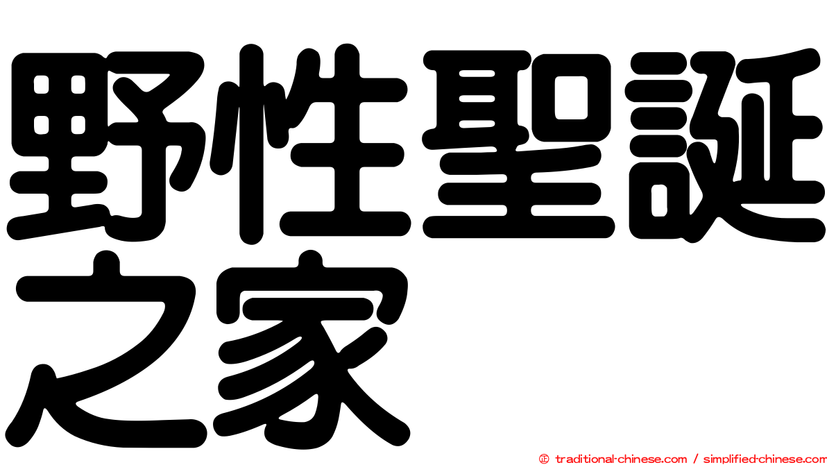 野性聖誕之家