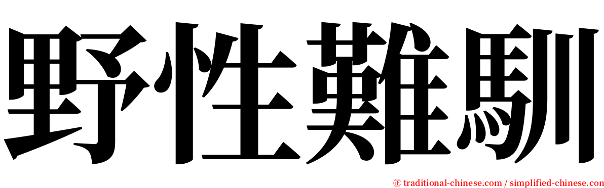 野性難馴 serif font