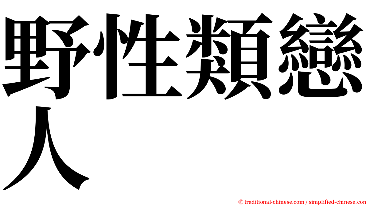 野性類戀人 serif font