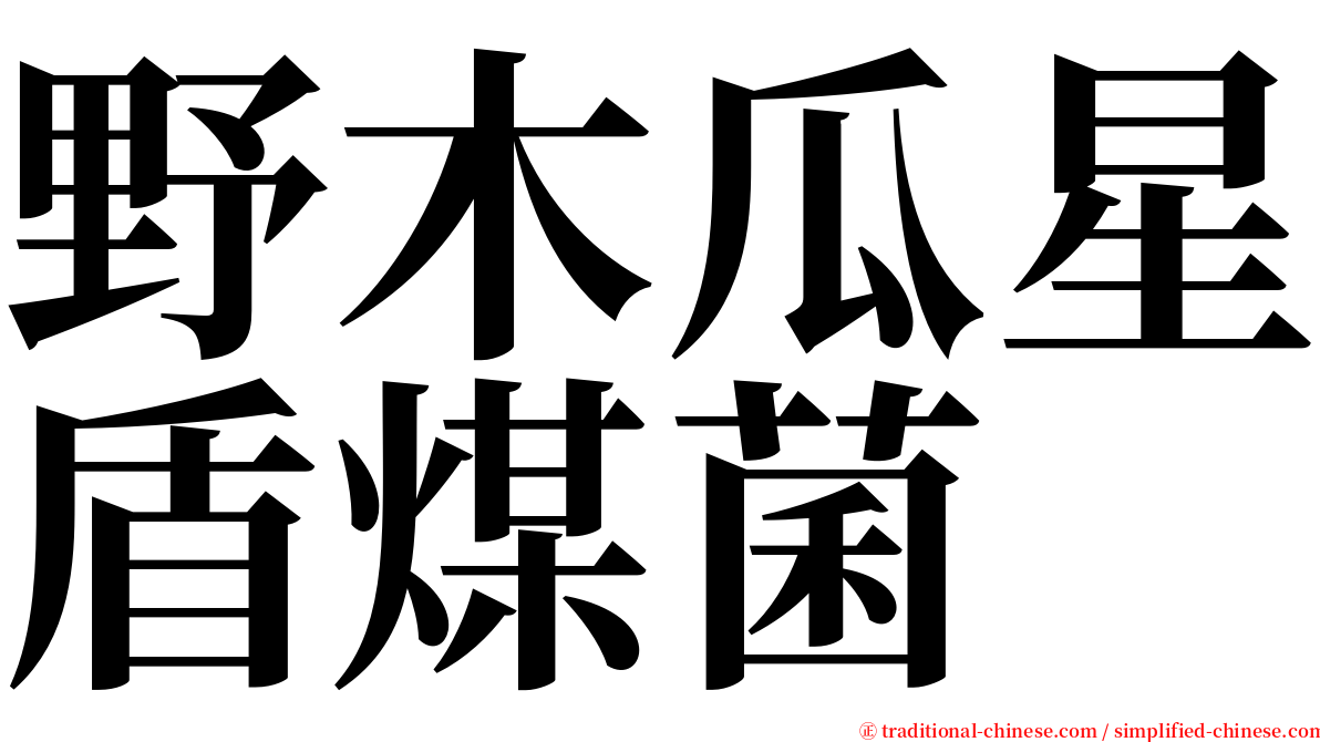 野木瓜星盾煤菌 serif font