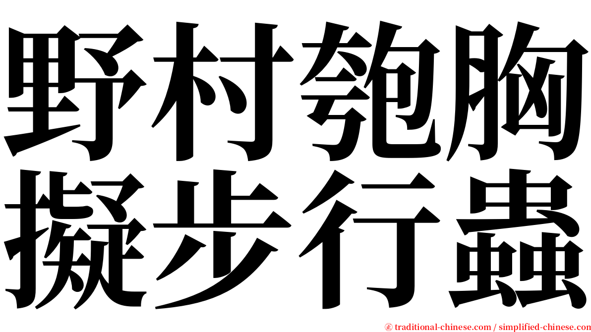 野村匏胸擬步行蟲 serif font