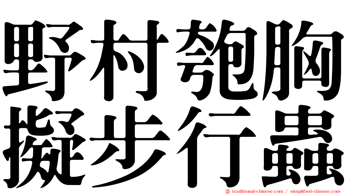 野村匏胸擬步行蟲