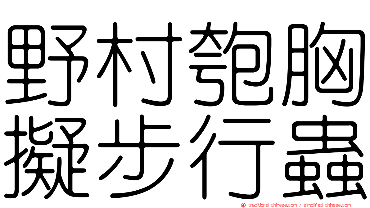 野村匏胸擬步行蟲