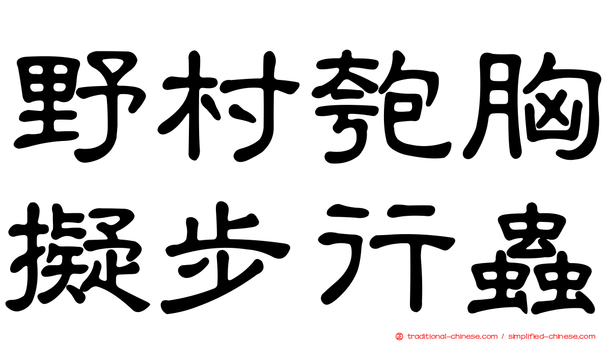 野村匏胸擬步行蟲