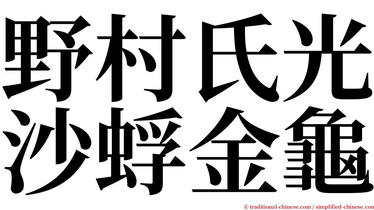 野村氏光沙蜉金龜 serif font