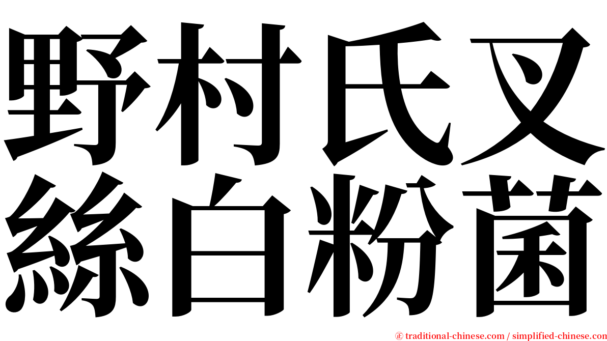 野村氏叉絲白粉菌 serif font