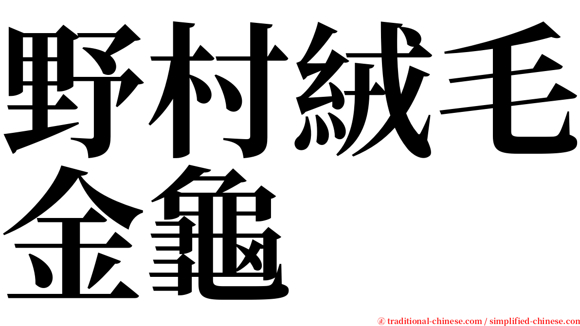 野村絨毛金龜 serif font