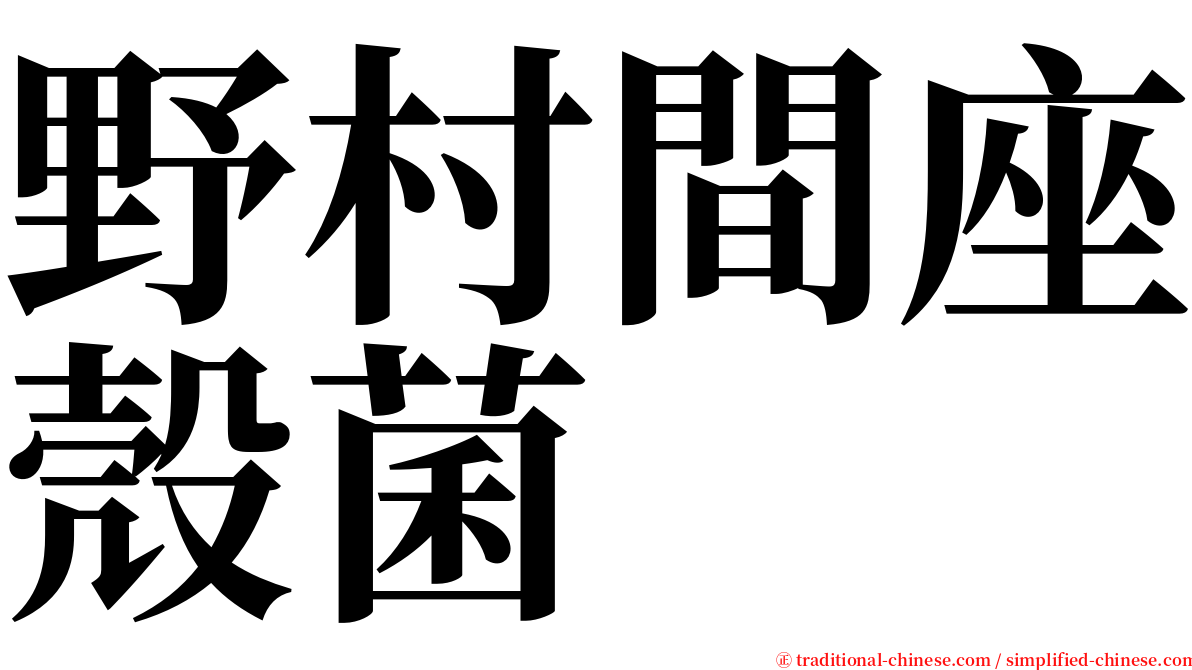 野村間座殼菌 serif font