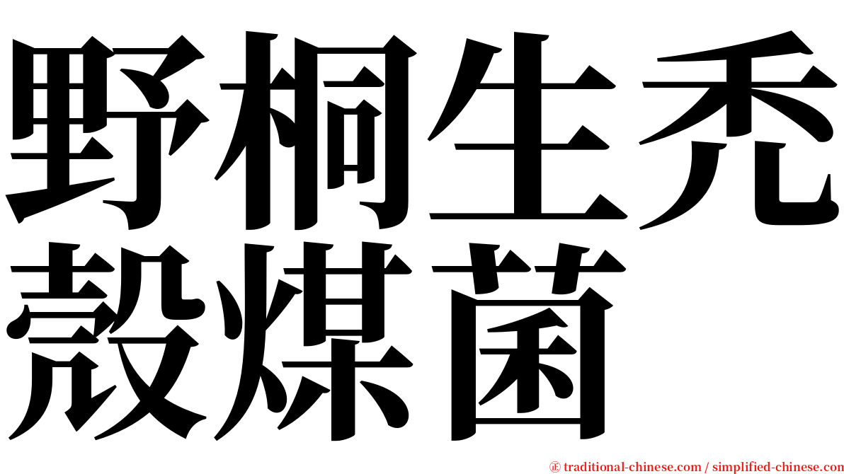 野桐生禿殼煤菌 serif font