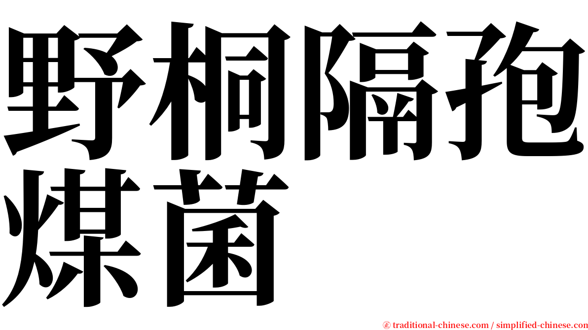 野桐隔孢煤菌 serif font