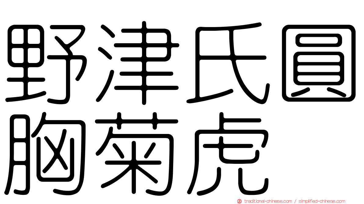 野津氏圓胸菊虎