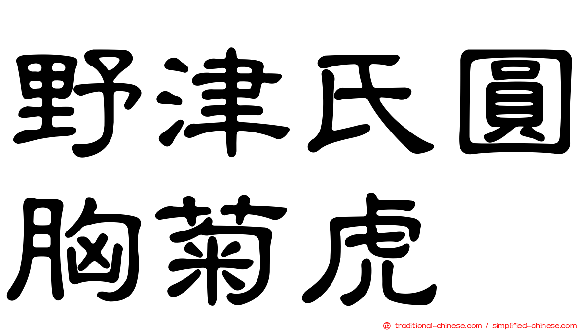 野津氏圓胸菊虎