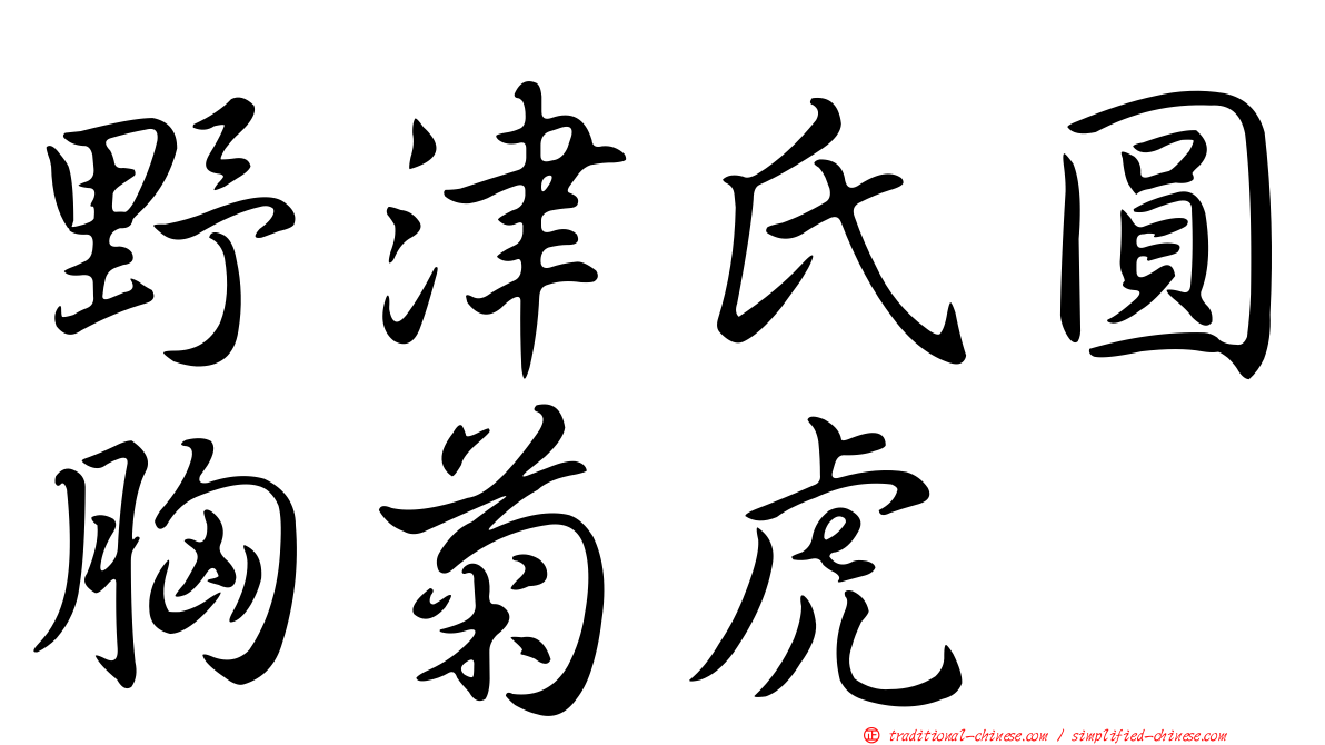 野津氏圓胸菊虎