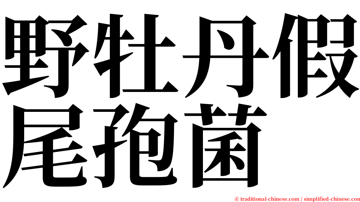 野牡丹假尾孢菌 serif font