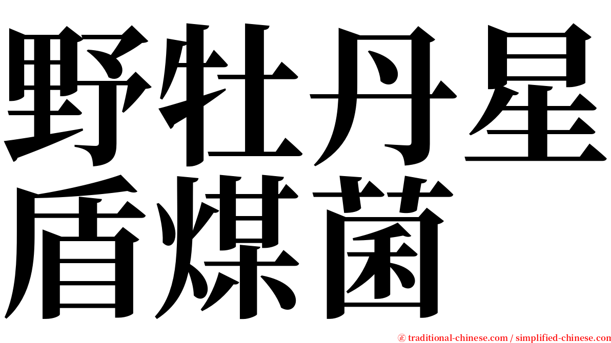 野牡丹星盾煤菌 serif font