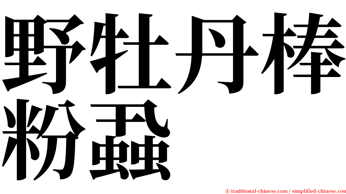 野牡丹棒粉蝨 serif font