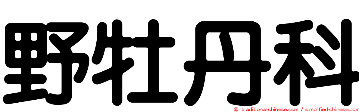 野牡丹科