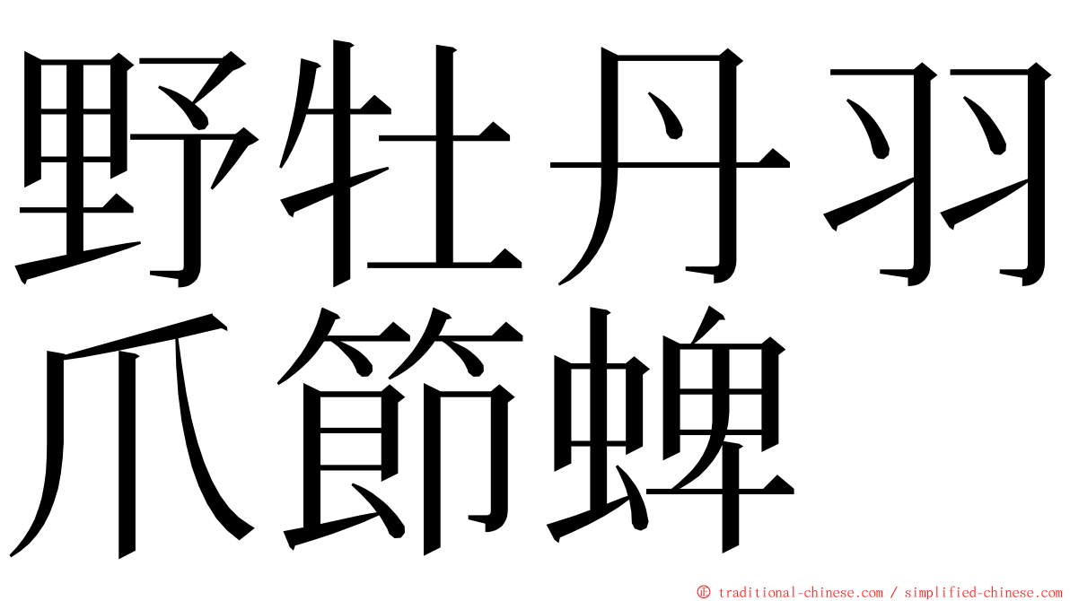 野牡丹羽爪節蜱 ming font