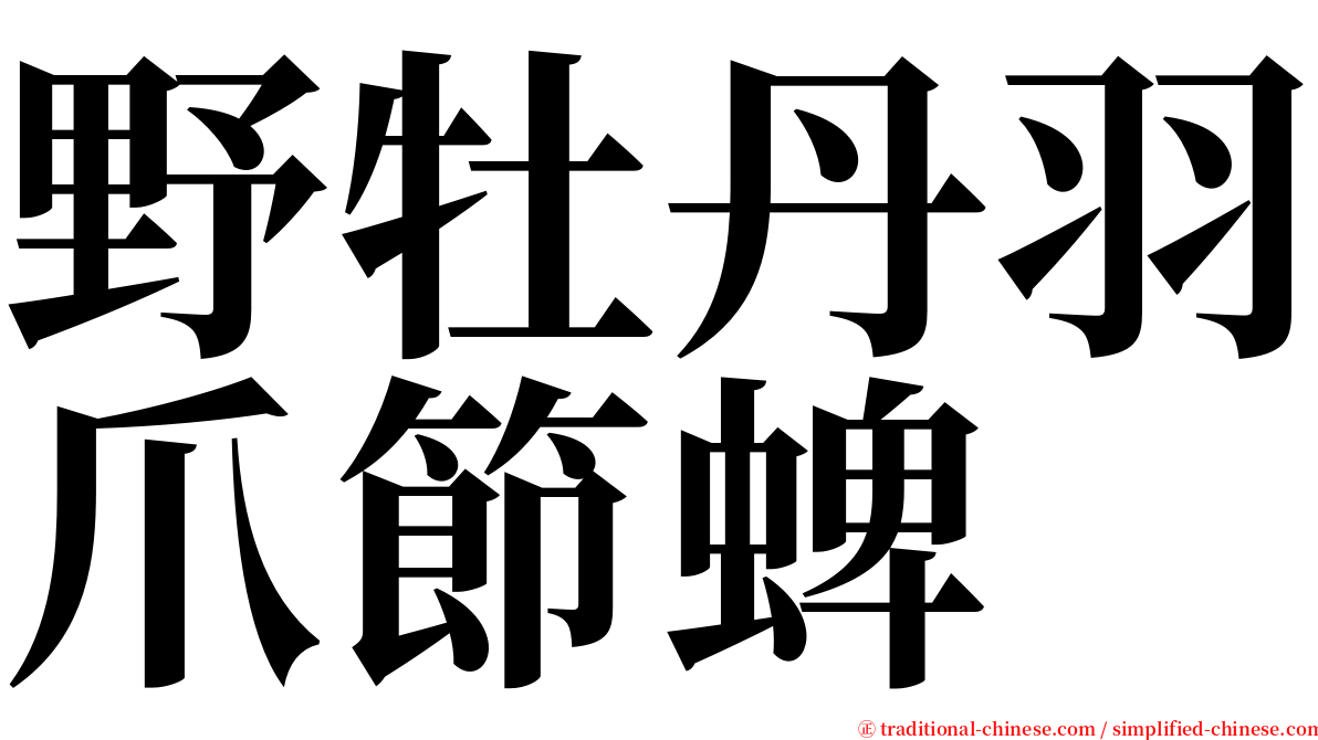 野牡丹羽爪節蜱 serif font