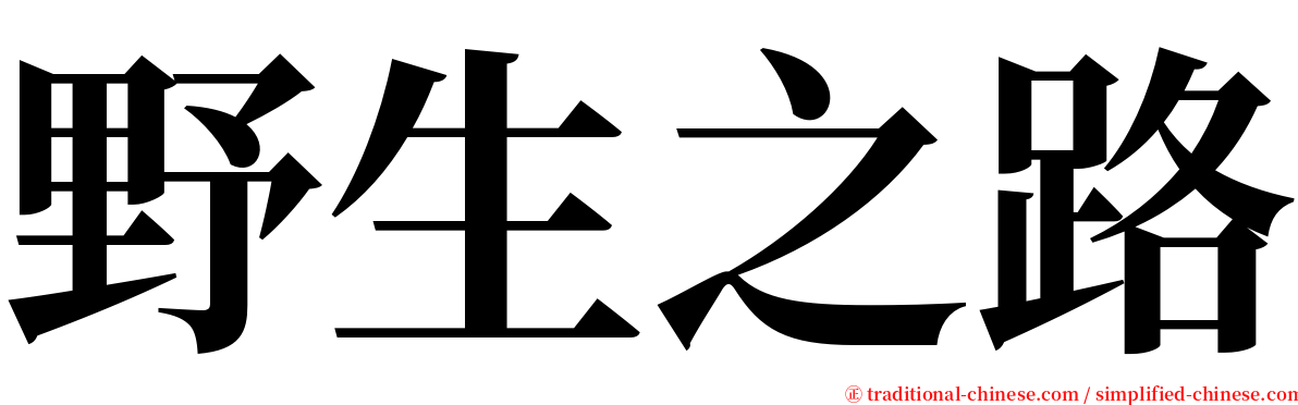 野生之路 serif font