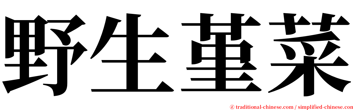 野生堇菜 serif font