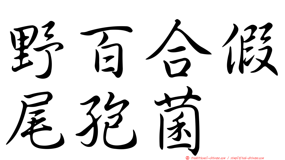 野百合假尾孢菌