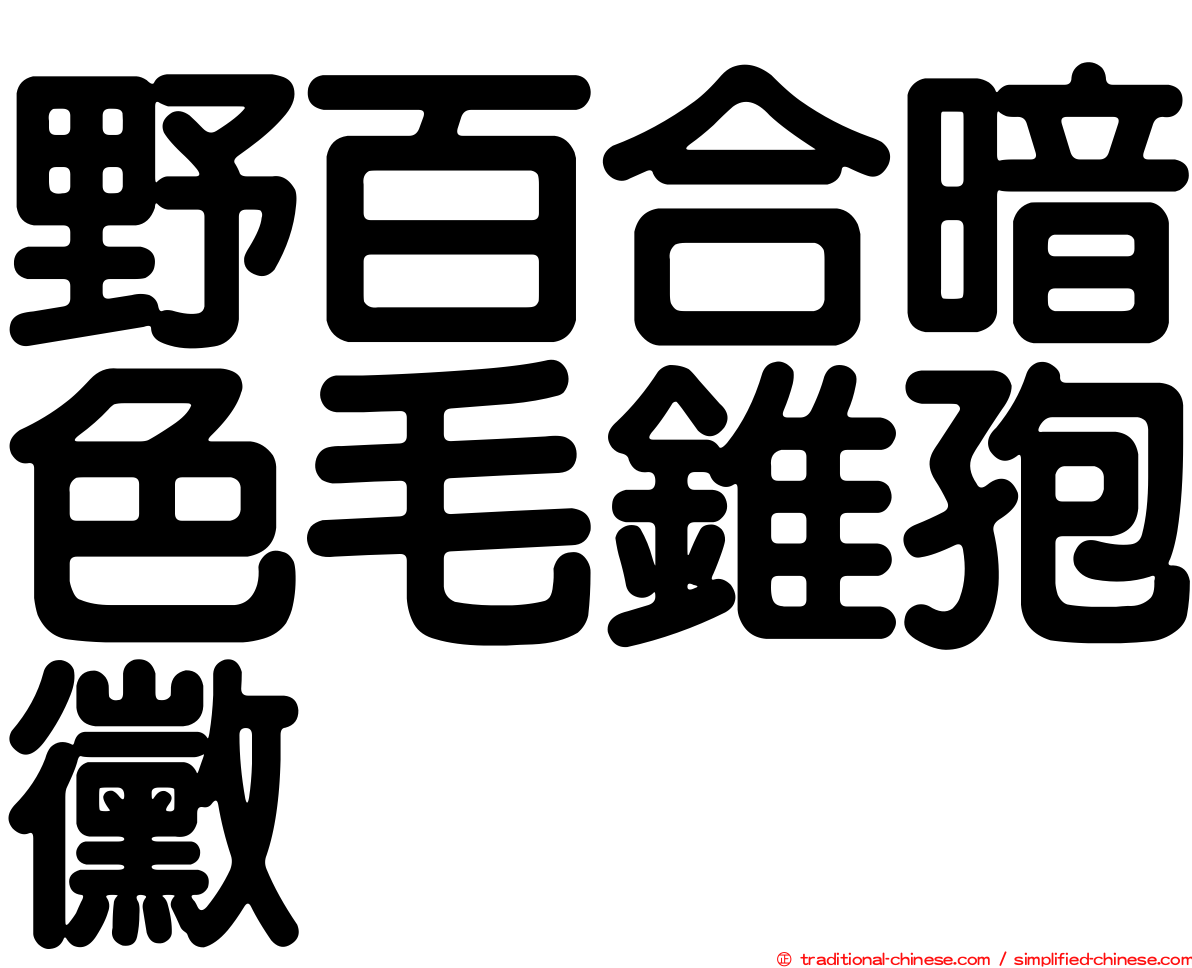 野百合暗色毛錐孢黴