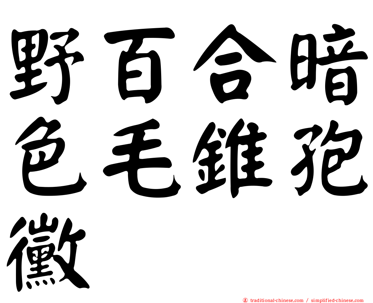 野百合暗色毛錐孢黴