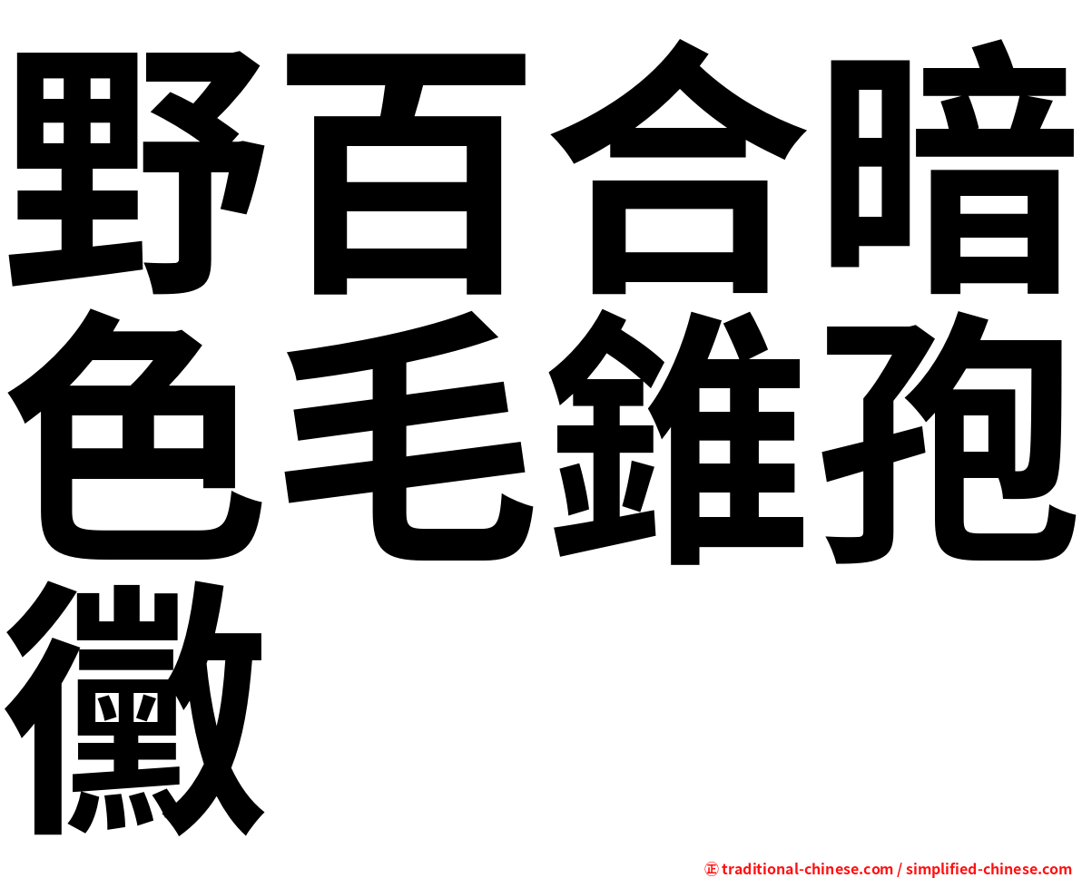 野百合暗色毛錐孢黴