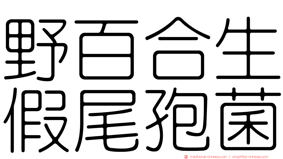 野百合生假尾孢菌