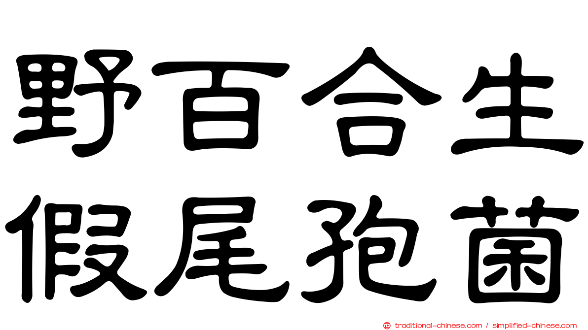 野百合生假尾孢菌