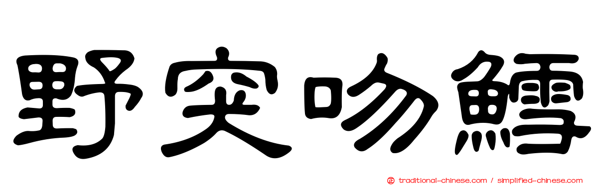 野突吻鱈