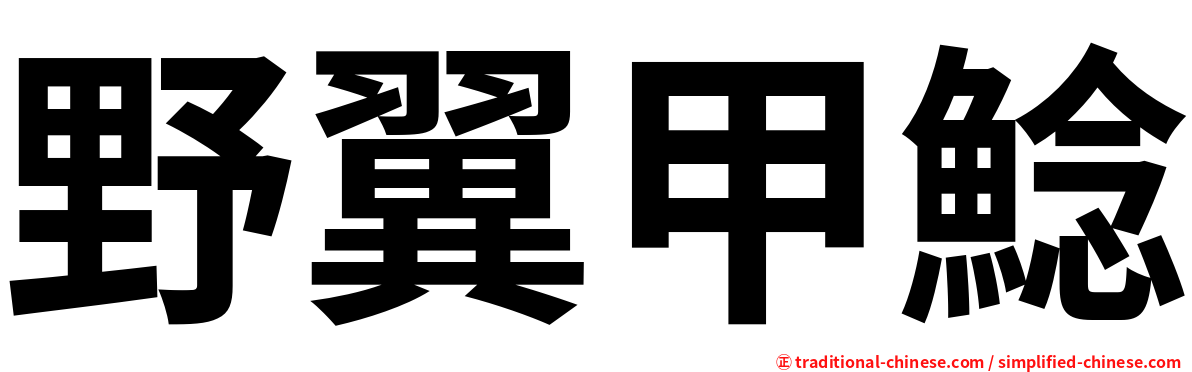 野翼甲鯰