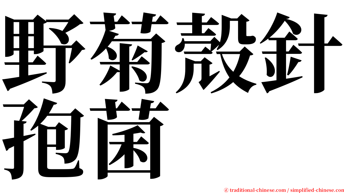 野菊殼針孢菌 serif font