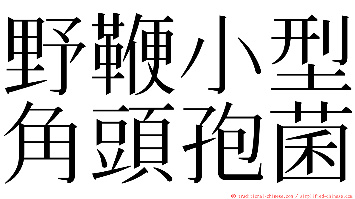 野鞭小型角頭孢菌 ming font