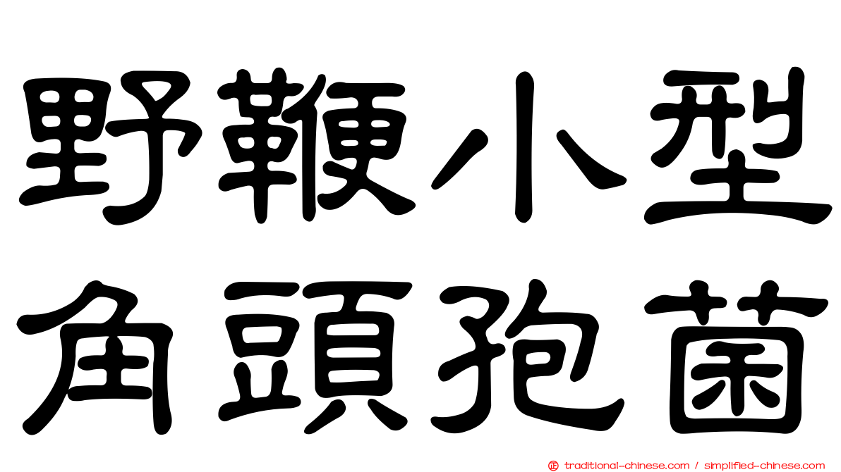 野鞭小型角頭孢菌