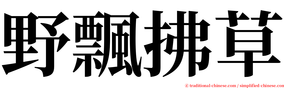 野飄拂草 serif font