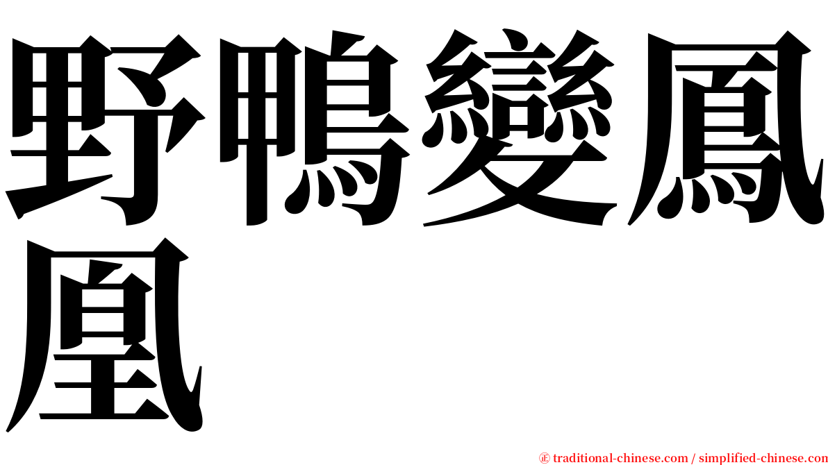 野鴨變鳳凰 serif font