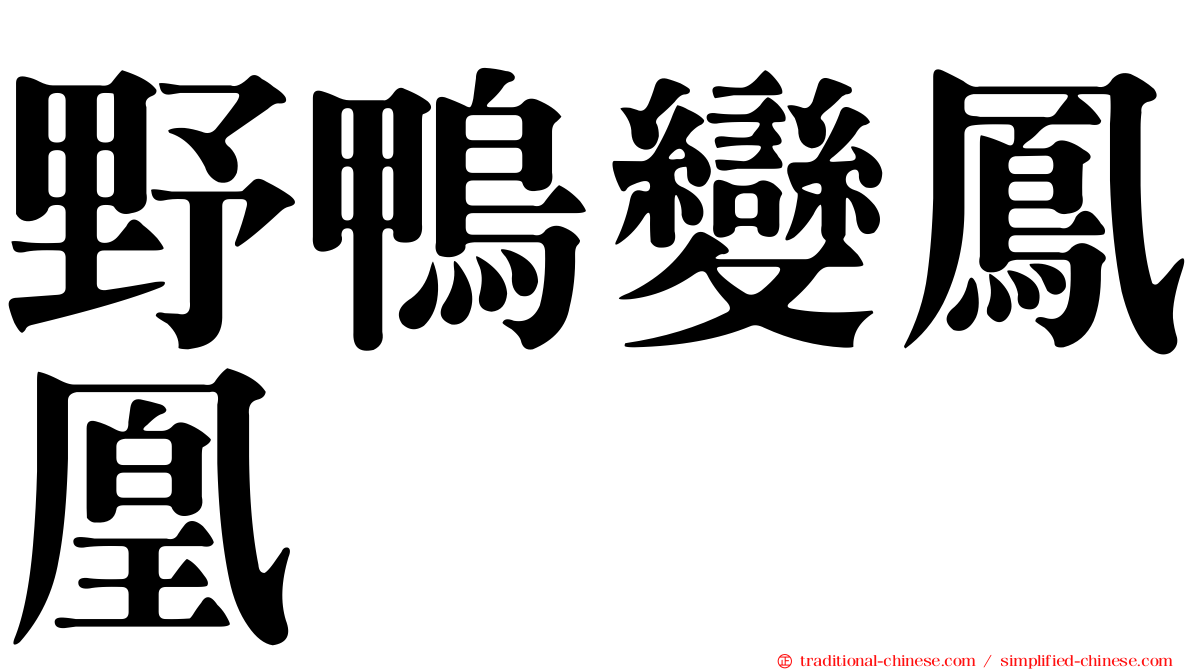 野鴨變鳳凰