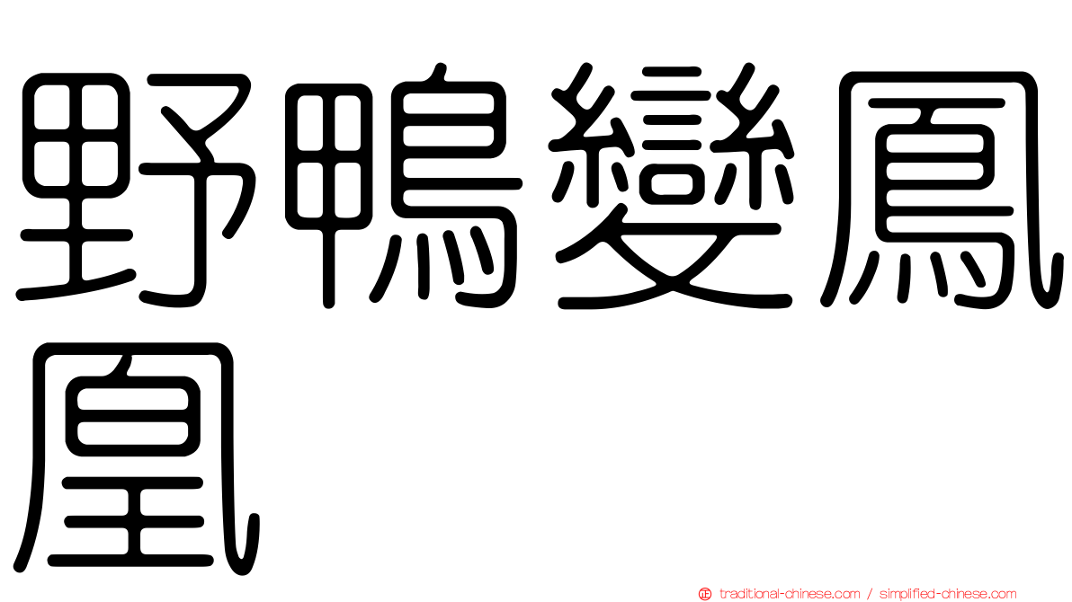 野鴨變鳳凰