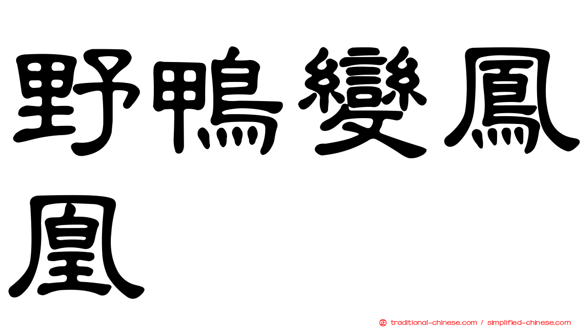 野鴨變鳳凰