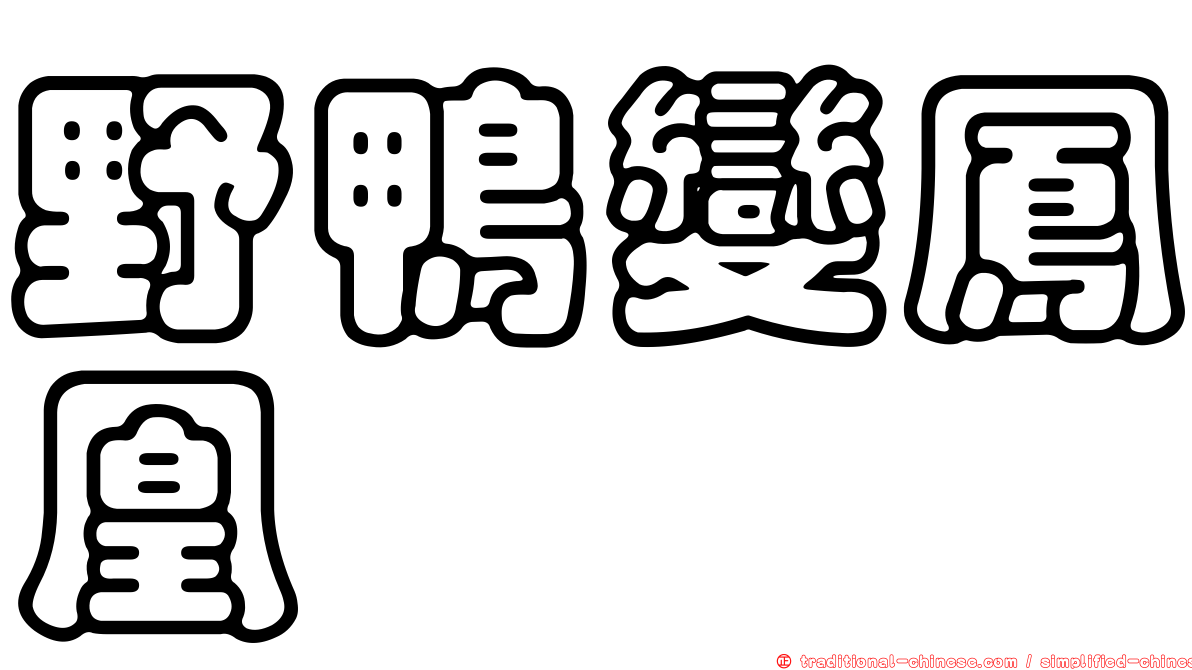 野鴨變鳳凰