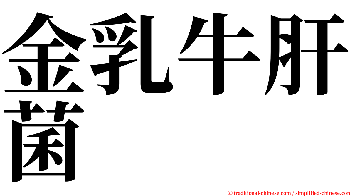 金乳牛肝菌 serif font