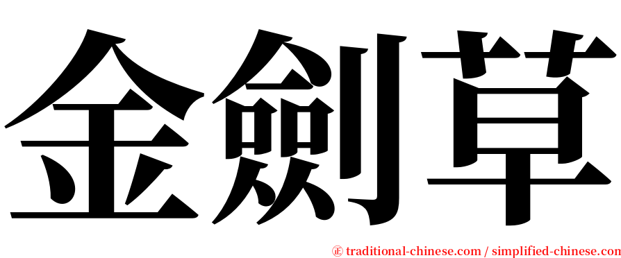 金劍草 serif font