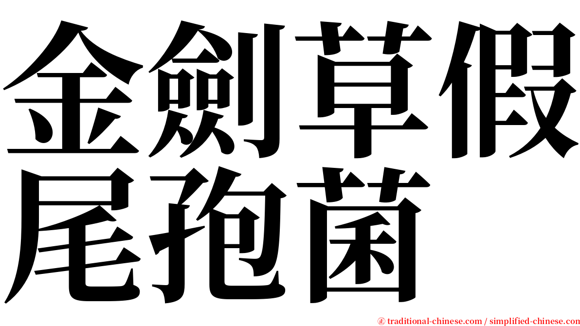 金劍草假尾孢菌 serif font