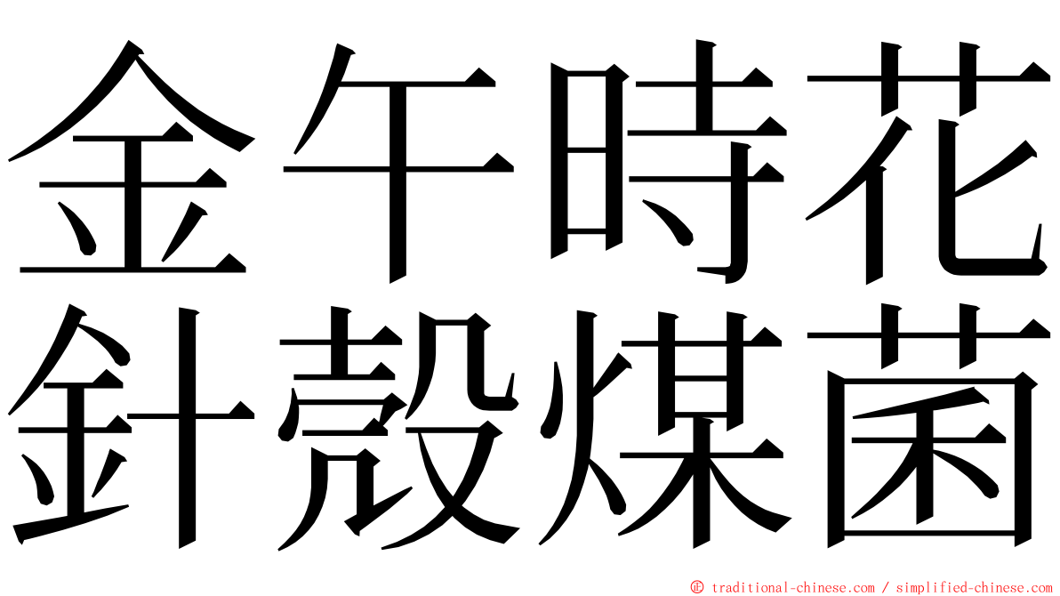 金午時花針殼煤菌 ming font