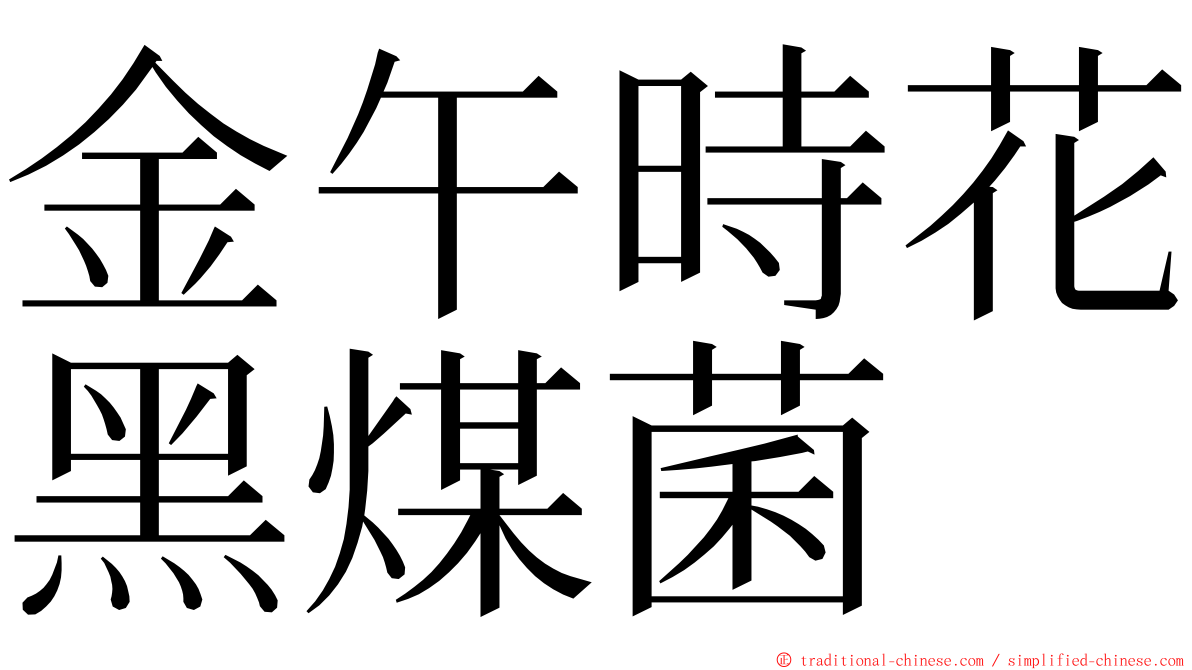 金午時花黑煤菌 ming font